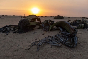 Swakopmund Sunset Magic – Desert Glow, Ocean Dreams