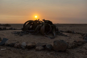 Swakopmund Sunset Magic – Desert Glow, Ocean Dreams