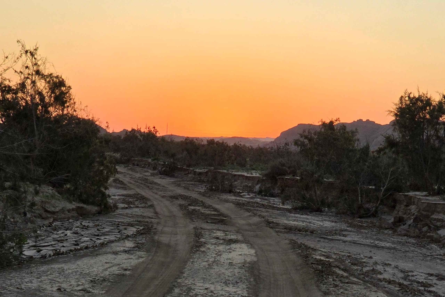 Swakopmund: Treasures of the Moonlandscape