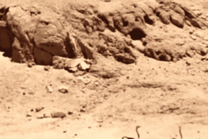 Swakopmund: Treasures of the Moonlandscape