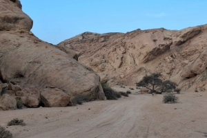 Swakopmund: Treasures of the Moonlandscape