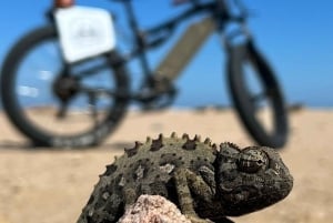 Swakopmund: 'UP CLOSE' Living Desert E-FatBike Tour