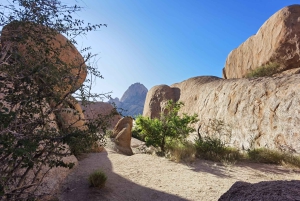 Swakopmund / Walvis Bay: Spitzkoppe Day Trip