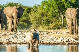 Taste of Namibia Adventure Tour