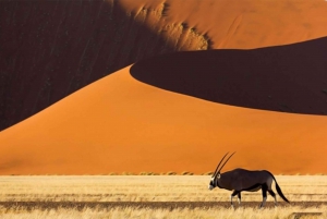 Taste of Namibia Adventure Tour