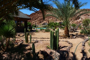 Brandberg White Lady Lodge