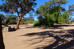 Brandberg White Lady Lodge