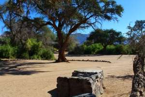 Brandberg White Lady Lodge