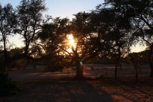 Brandberg White Lady Lodge