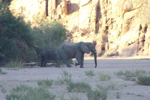 Brandberg White Lady Lodge