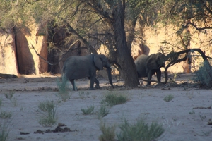 Brandberg White Lady Lodge