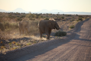 Brandberg White Lady Lodge