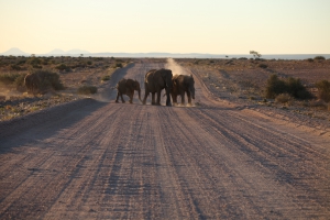 Brandberg White Lady Lodge