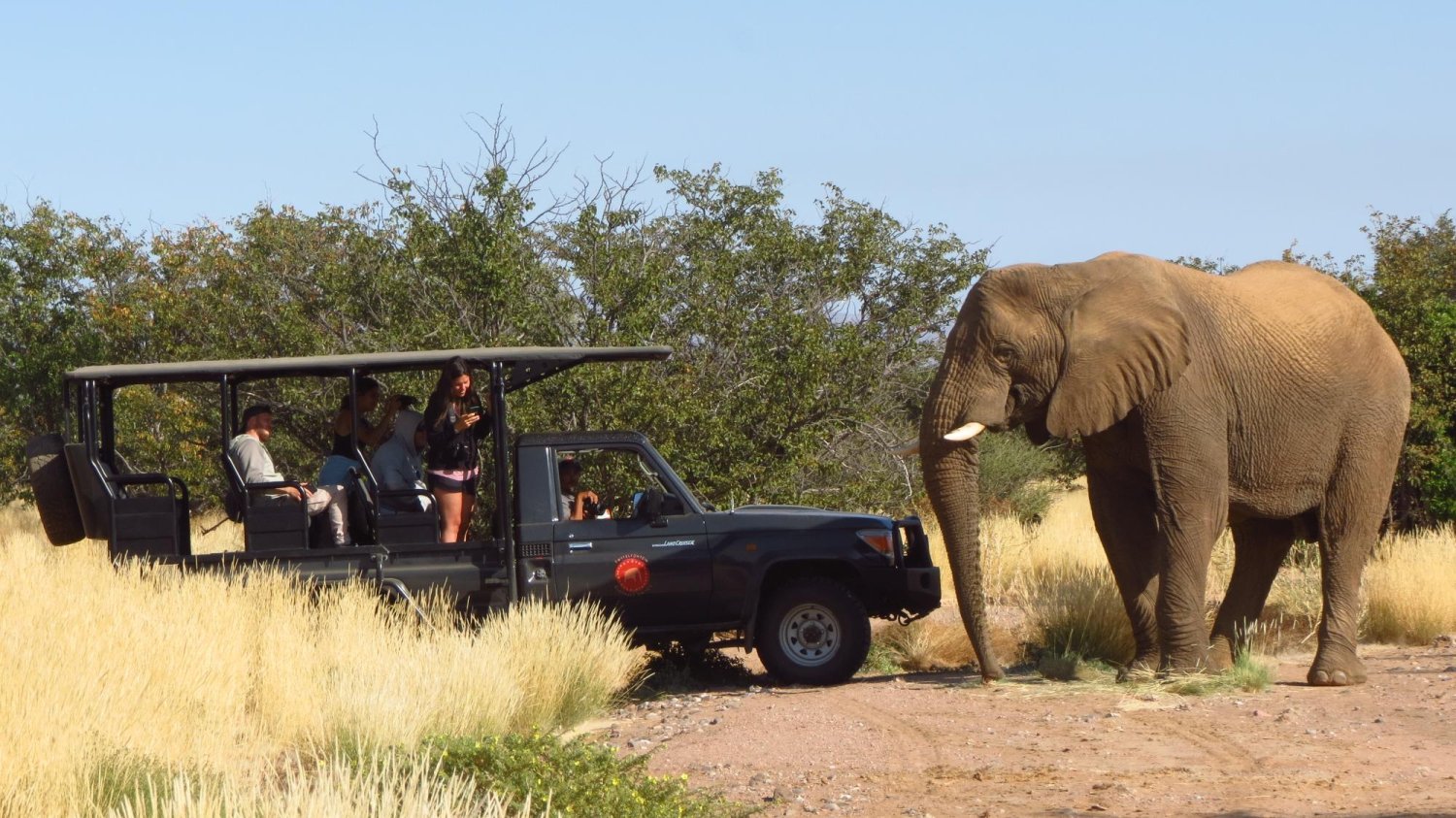 Twyfelfontein Elephant Drives and Campsite