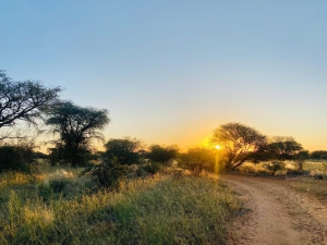 Uakii Wilderness Bushcamp