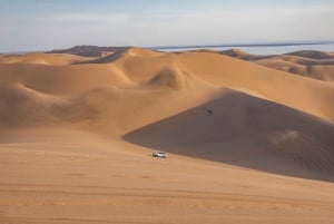 Walvis Bay: 4x4 Desert Excursion to Sandwich Harbour Bay