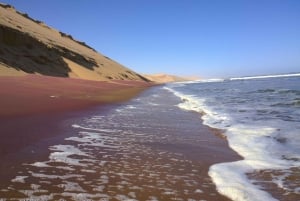 Walvis Bay: 4x4 Desert Excursion to Sandwich Harbour Bay