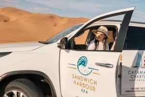 Walvis Bay: 4x4 Desert Excursion to Sandwich Harbour Bay
