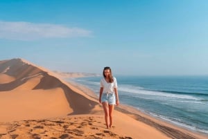 Walvis Bay: 4x4 Desert Excursion to Sandwich Harbour Bay