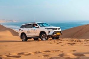 Walvis Bay: 4x4 Desert Excursion to Sandwich Harbour Bay