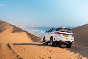Walvis Bay: 4x4 Desert Excursion to Sandwich Harbour Bay