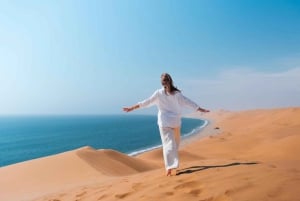 Walvis Bay: 4x4 Desert Excursion to Sandwich Harbour Bay