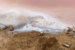 Walvis Bay: 4x4 Desert Excursion to Sandwich Harbour Bay