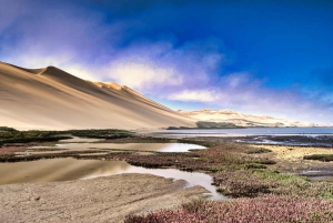 Walvis Bay: 5-Hour Sandwich Harbour Sunset Photography Tour
