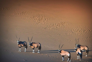 Walvis Bay: 5-Hour Sandwich Harbour Sunset Photography Tour