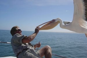 Catamaran Dolphin Cruise and Sandwich Harbour Tour