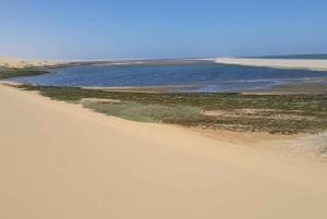 Catamaran Dolphin Cruise and Sandwich Harbour Tour