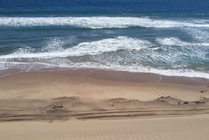 Catamaran Dolphin Cruise and Sandwich Harbour Tour