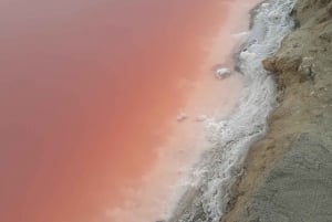 Catamaran Dolphin Cruise and Sandwich Harbour Tour