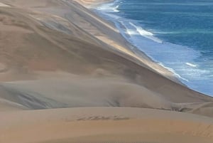 Catamaran Dolphin Cruise and Sandwich Harbour Tour