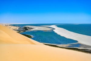 Walvis Bay: Comprehensive Sandwich Harbour 4x4 Tour