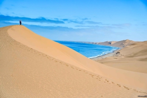 Walvis Bay: Comprehensive Sandwich Harbour 4x4 Tour