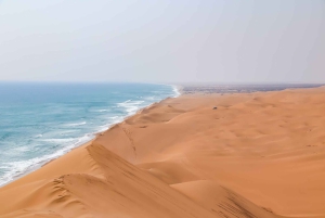 Walvis Bay: Comprehensive Sandwich Harbour 4x4 Tour