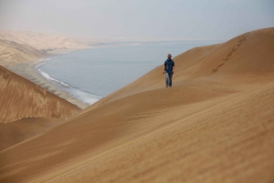 Walvis Bay: Dolphin Cruise, Pink Lakes and 4x4 Dune Drive