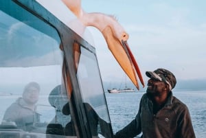 Walvis Bay: Dolphin Cruise, Pink Lakes and 4x4 Dune Drive