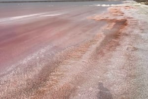 Walvis Bay: Half-Day Tour with Dune 7 and Pink Lake