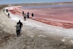 Walvis Bay: Half-Day Tour with Dune 7 and Pink Lake