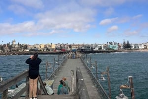 Walvis Bay: Half-Day Tour with Dune 7 and Pink Lake