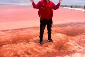 Walvis Bay: Half-Day Tour with Dune 7 and Pink Lake