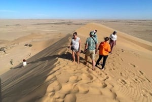 Walvis Bay: Half-Day Tour with Dune 7 and Pink Lake