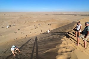 Walvis Bay: Half-Day Tour with Dune 7 and Pink Lake