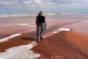 Walvis Bay: Half-Day Tour with Dune 7 and Pink Lake