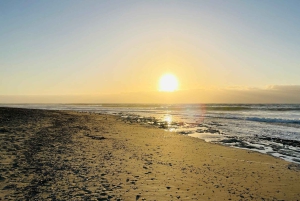 Walvis Bay: Half-Day Tour with Dune 7 and Pink Lake