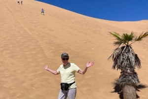 Walvis Bay: Half-Day Tour with Dune 7 and Pink Lake