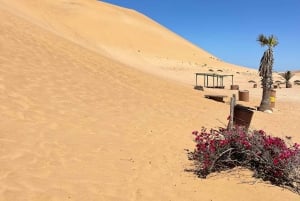 Walvis Bay: Half-Day Tour with Dune 7 and Pink Lake