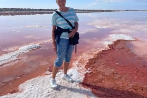 Walvis Bay: Half-Day Tour with Dune 7 and Pink Lake